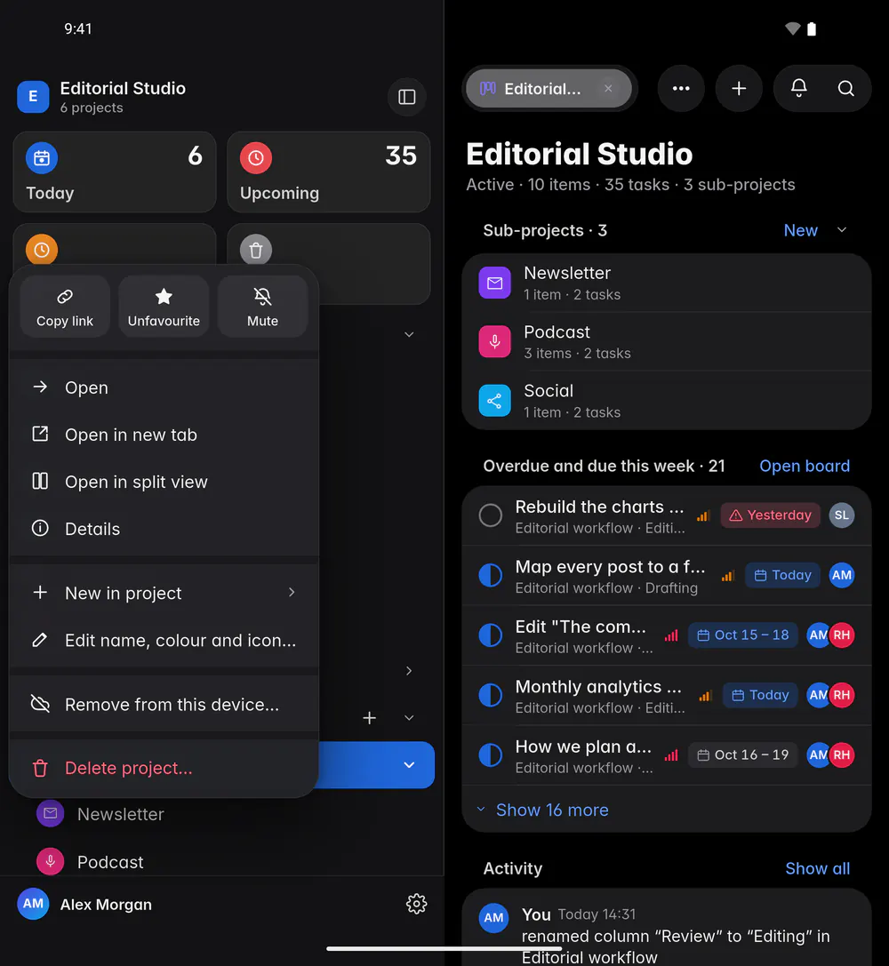 A project's menu with Open, New in project, Edit name, colour and icon, Copy link and Delete project (an Android foldable)