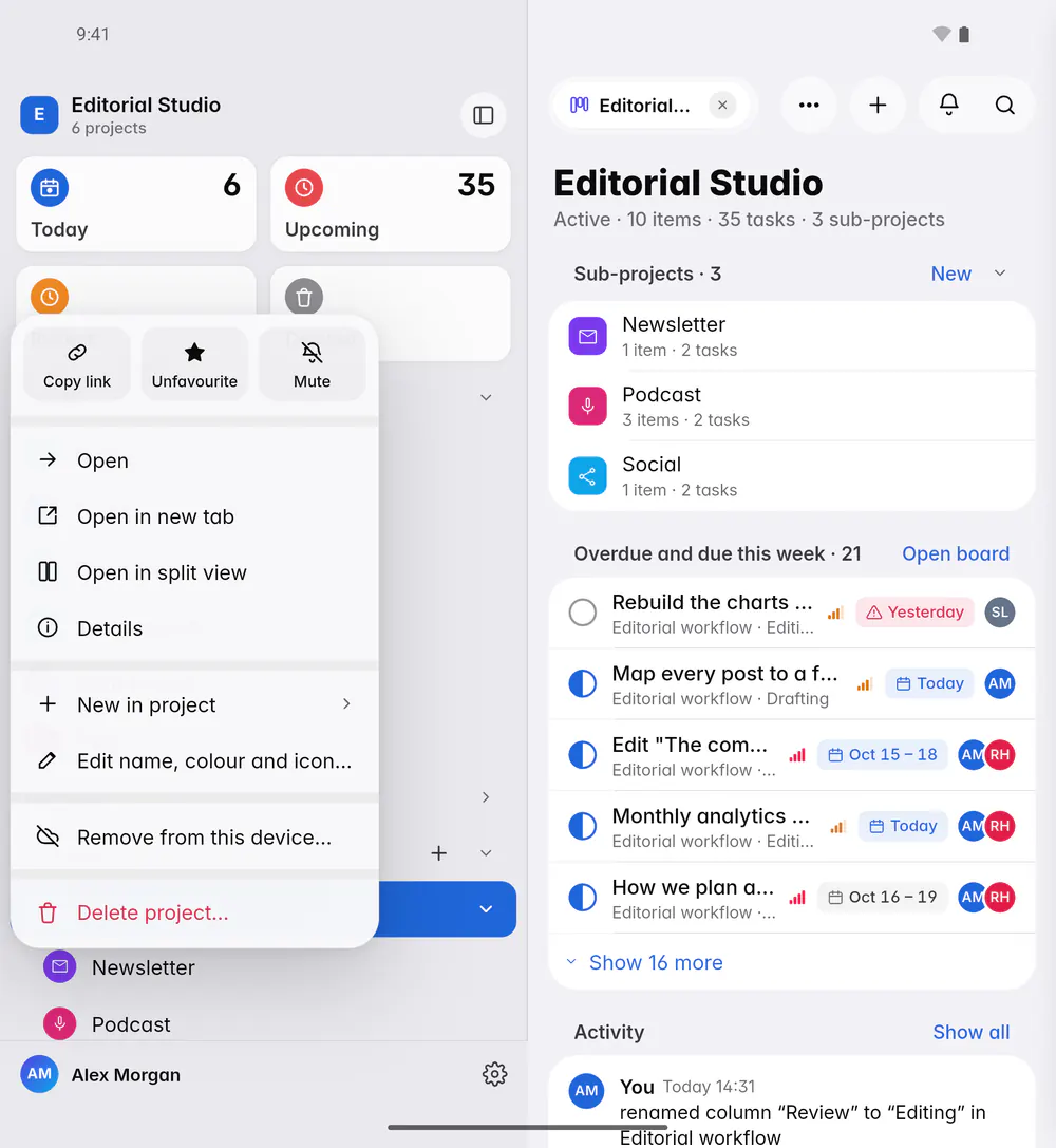 A project's menu with Open, New in project, Edit name, colour and icon, Copy link and Delete project (an Android foldable)