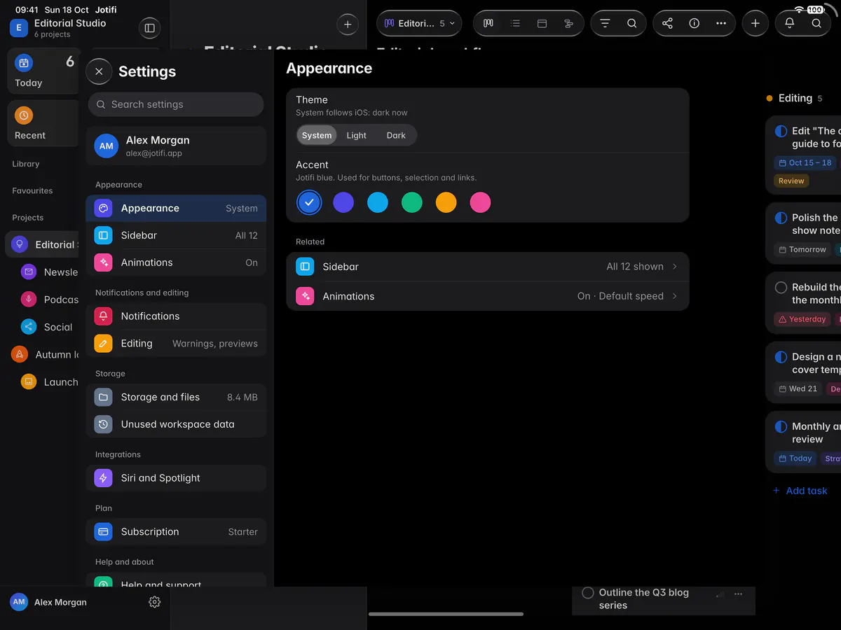 Appearance settings with the theme set to System and the six accent colours (an iPad)