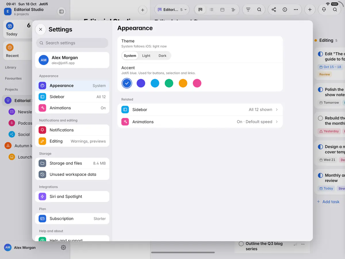 Appearance settings with the theme set to System and the six accent colours (an iPad)