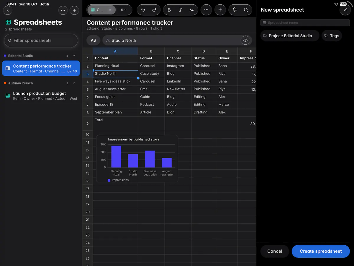 The New spreadsheet form with a name, the project and optional tags (an iPad)