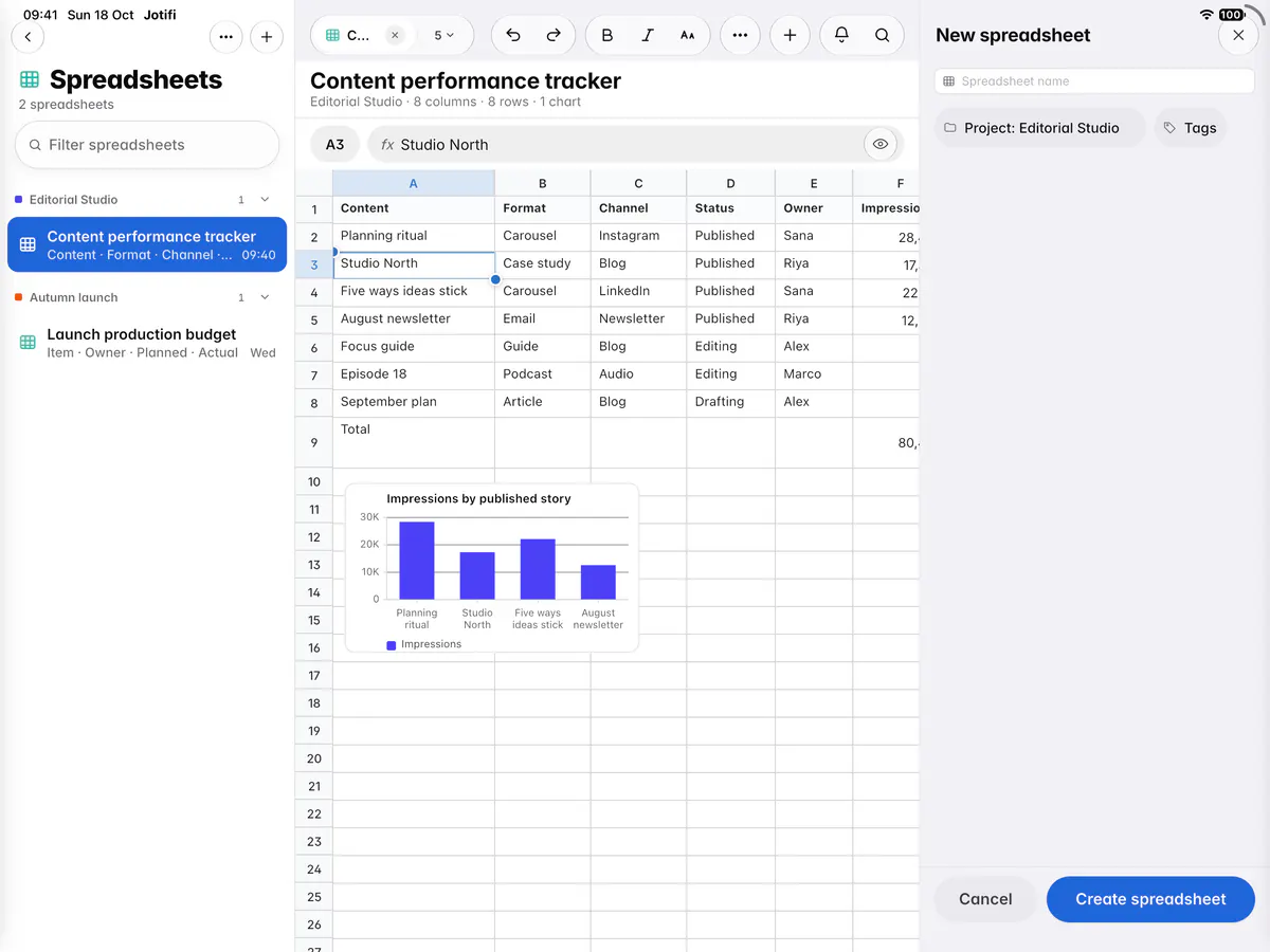 The New spreadsheet form with a name, the project and optional tags (an iPad)
