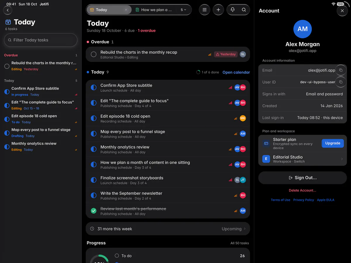 The account page with the email address, user ID, sign-in method, plan and workspace (an iPad)