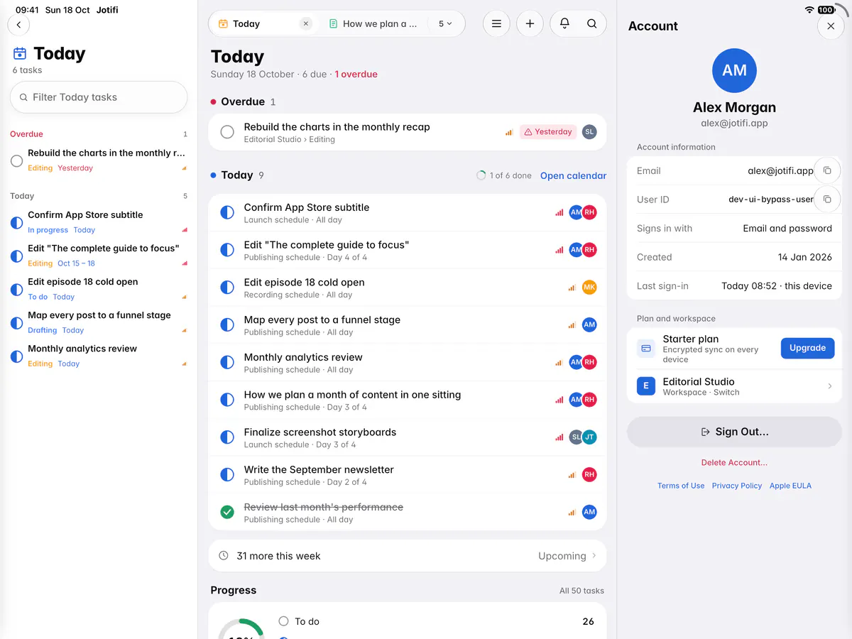 The account page with the email address, user ID, sign-in method, plan and workspace (an iPad)