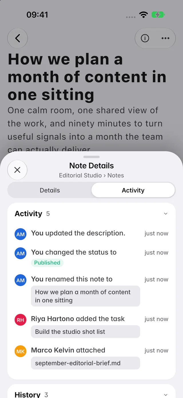 A note's details on the Activity tab, with its activity and the history of its status and name (an iPhone)