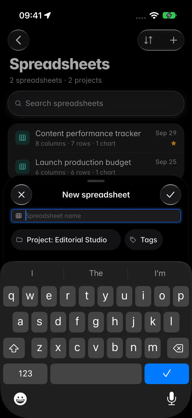 The New spreadsheet form with a name, the project and optional tags (an iPhone)