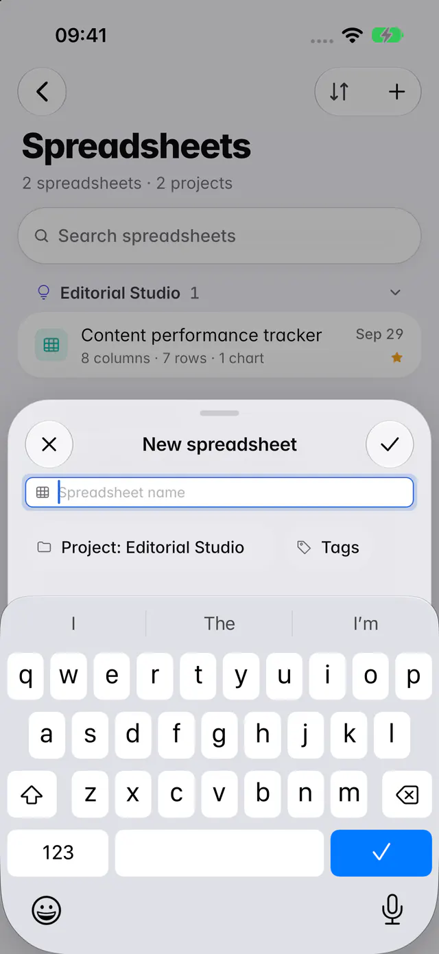 The New spreadsheet form with a name, the project and optional tags (an iPhone)