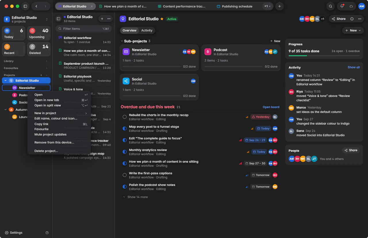 A project's menu with Open, New in project, Edit name, colour and icon, Copy link and Delete project (a Mac)