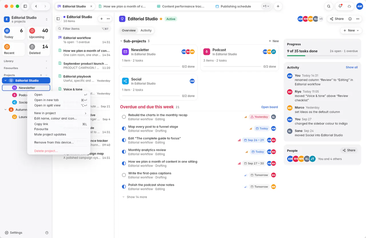 A project's menu with Open, New in project, Edit name, colour and icon, Copy link and Delete project (a Mac)