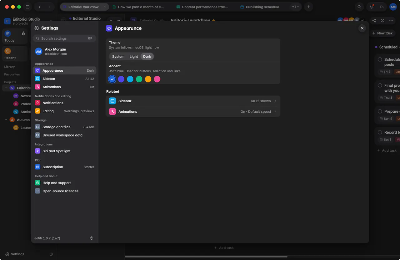 Appearance settings with the theme set to System and the six accent colours (a Mac)