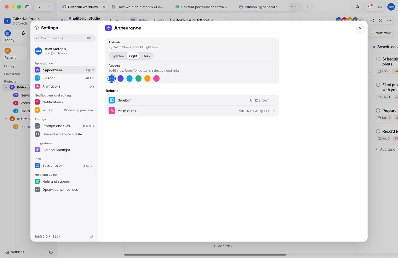Appearance settings with the theme set to System and the six accent colours (a Mac)