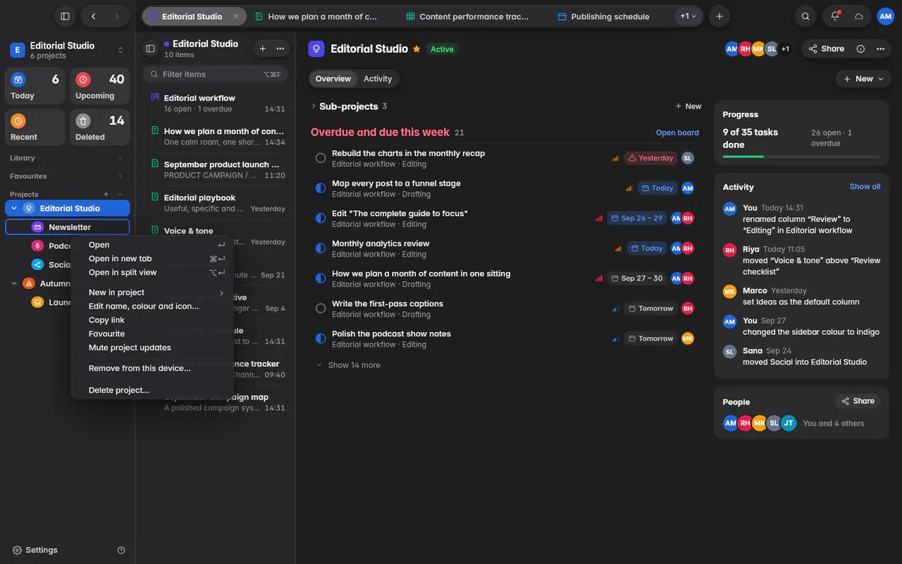 A project's menu with Open, New in project, Edit name, colour and icon, Copy link and Delete project (the web app)